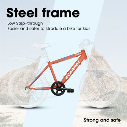 A20215 Kids Bicycle 20 Inch Kids Mountain Bike