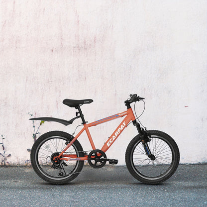 A20215 Kids Bicycle 20 Inch Kids Mountain Bike